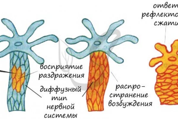 Ссылки на кракен зеркала